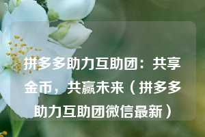 拼多多助力互助团：共享金币，共赢未来（拼多多助力互助团微信最新）  第1张