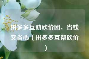 拼多多互助砍价团，省钱又省心（拼多多互帮砍价）  第1张