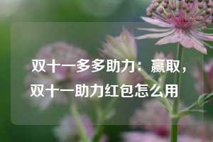  双十一多多助力：赢取，双十一助力红包怎么用 第1张